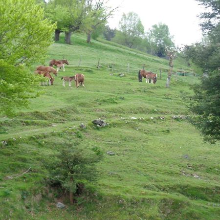 Casa Rural Alustiza ξενώνας Villabona Εξωτερικό φωτογραφία